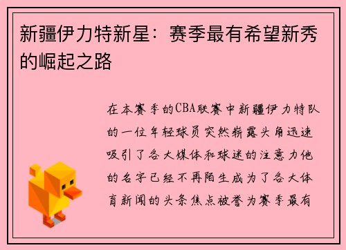 新疆伊力特新星：赛季最有希望新秀的崛起之路